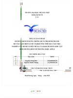 Đề tài lập chiến lược marketing mới dựa vào việc nghiên cứu hành vi tiêu dùng của khách hàng khu vực bình dương đối với thương hiệu apple