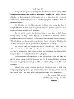 Khóa Luận Tốt Nghiệp Về Giải Pháp Hoàn Thiện Hoạt Động Marketing Tại Công Ty Nam Cường.docx