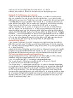 Vận chuyển hàng lẻ (lcl) từ jakarta, indonesia về việt nam