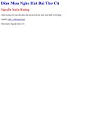 Dem Mua Nghe Hat Bai Tho Cu - Nguyen Xuan Hoang.pdf