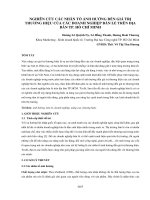 Tài Liệu Nghiên Cứu Các Nhân Tố Ảnh Hưởng Đến Giá Trị Thương Hiệu Của Các Doanh Nghiệp Bán Lẻ.pdf