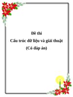 Đề Thi Có Đap Án.docx