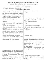 Giáo Án Chi Tiết Tiết Dạy Theo Định Hướng Stem.docx