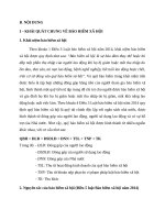 Bài Tập Nhóm Bảo-Hiểm-Xã-Hội.docx