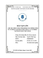 Chủ đề phân tích tình hình tài chính công ty cổ phần tập đoàn hòa phát và cổ phiếu tập đoàn bảo việt (bvh)