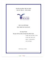 Đề tài xây dựng website bán giày thể thao online cho shop shoes bình chuẩn