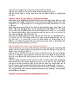 Vận chuyển hàng từ Việt Nam đi Jebel Ali, United Arab Emirates