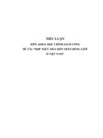 Tiểu luận, khoa học chính sách công, hợp thức hóa hôn nhân đồng giới ở việt nam”