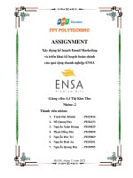 Assignment xây dựng kế hoạch email marketing và triển khai kế hoạch hoàn chỉnh của quà tặng doanh nghiệp ensa