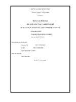 Tiểu luận môn học đổi mới, sáng tạo và khởi nghiệp đề tài cửa hàng kinh doanh camera và thiết bị an ninh vpt