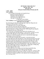 ĐỀ THI HỌC SINH GIỎI NGỮ VĂN 7, BỘ SÁCH KẾT NỐI TRI THỨC CÓ MA TRẬN  ĐẶC TẢ  TỰ LUẬN