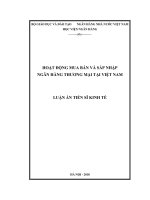 Luận Án Tiến Sỹ Chuyên Ngành Tài Chính Ngân Hàng   Đề Tài Hoạt Động Mua Bán Và Sáp Nhập Ngân Hàng Thương Mại Tại Việt Nam Copy.pdf