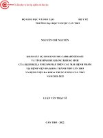 Khảo sát sự sinh enzyme carbapenemase và tình hình đề kháng kháng sinh của klebsiella pneumoniae trên các mẫu bệnh phẩm tại bệnh viện đa khoa thành phố cần thơ và bệnh viện đa khoa trung ươ