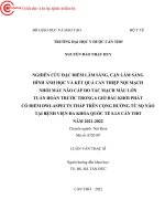 Nghiên cứu đặc điểm lâm sàng, cận lâm sàng, hình ảnh học và kết quả can thiệp nội mạch nhồi máu não cấp do tắc mạch máu lớn tuần hoàn trước trong 6 giờ đầu khởi phát có điểm dwi aspects thấp