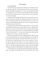 Luận văn vai trò của nhân viên công tác xã hội trong việc can thiệp hỗ trợ phụ nữ nghèo dân tộc thiểu số tại xã đồng văn, huyện bình liêu, tỉnh quảng ninh