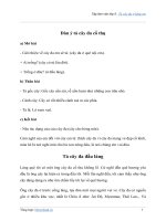 Ta-Cay-Da-Co-Thu-O-Lang-Em.pdf