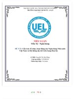 Tiểu luận tiền t   ngân hàng ệ đề tài cấu trúc t c, ho ng c ổ chứ ạt độ ủa ngân hàng nhà nước việt nam và hệ thống dự trữ liên bang hoa kỳ