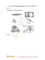 Giai vo bai tap tu nhien va xa hoi 2 bai 27 loai vat song o dau