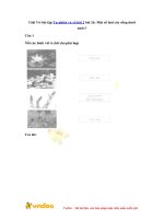 Giai vo bai tap tu nhien va xa hoi 2 bai 26 mot so loai cay song duoi nuoc