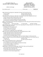 Đề ôn tập lịch sử 12 (14)