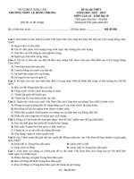 Đề ôn tập lịch sử 12 (15)