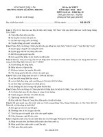 Đề ôn tập lịch sử 12 (23)