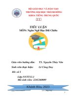 Tiểu luận môn ngôn ngữ học đối chiếu  đề tài đối chiếu hệ thống ngữ âm trong tiếng việt và tiếng trung