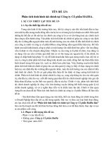 Báo cáo Đề Án Môn Học Phân Tích Tài Chính  Phân Tích Tình Hình Tài Chính Tại Công Ty Cổ Phần Haiha