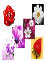 123Doc vn   bo suu tap anh dong 13