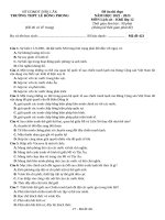 Đề ôn thi lịch sử 12 (13)