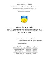 Tiểu luận đề tài qui trình tổ chức thực hiện đầu tư nước ngoài