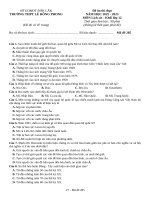 Đề ôn thi lịch sử 11 (22)