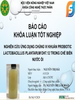 Báo Cáo Khóa Luận Tốt Nghiệp -  Công Nghệ Thực Phẩm  - Đề Tài   - Nghiên Cứu Ứng Dụng Chủng Vi Khuẩn Probiotic Lactobacillus Plantarum Dh7.12 Trong Chế Biến Nước Ổi