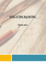 Tiểu luận -  Năng Lượng Tái Tạo -  Đề Tài  - Năng Lượng Thủy Triều Vs Nhiệt Đại Dương