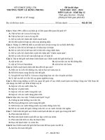 Đề ôn thi lịch sử 10 (15)