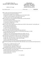 Đề ôn thi lịch sử 10 (21)