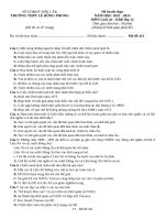 Đề ôn thi lịch sử 11 (13)