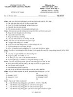 Đề ôn thi lịch sử 11 (15)