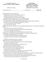 Đề ôn thi lịch sử 11 (16)