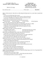 Đề ôn thi lịch sử 10 (16)