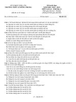 Đề ôn thi lịch sử 12 (11)