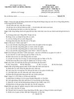 Đề ôn thi lịch sử 11 (25)