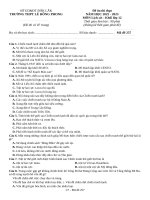 Đề ôn thi lịch sử 12 (10)