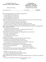 Đề ôn thi lịch sử 10 (25)