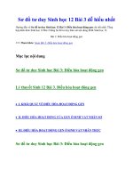 Sơ đồ tư duy sinh học 12 bài 3 dễ hiểu nhất