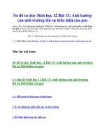 Sơ đồ tư duy sinh học 12 bài 13  ảnh hưởng của môi trường lên sự biểu hiện của gen