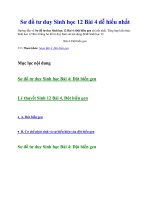 Sơ đồ tư duy sinh học 12 bài 4 dễ hiểu nhất