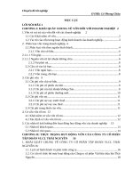 Chuyên đề thực tập  giải pháp tăng cường huy động vốn ở công ty cổ phần tập đoàn vật liệu chịu lửa thái nguyên