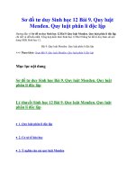 Sơ đồ tư duy sinh học 12 bài 9  quy luật menđen  quy luật phân li độc lập