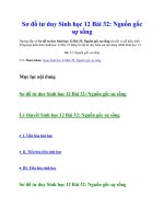 Sơ đồ tư duy sinh học 12 bài 32  nguồn gốc sự sống